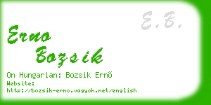erno bozsik business card